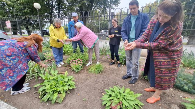 Изображение WhatsApp 2025-09-03 в 11.59.05_7ab3db6f